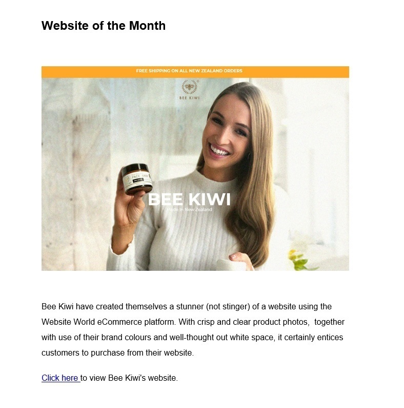 Website World | Website Builder | Bee Kiwi